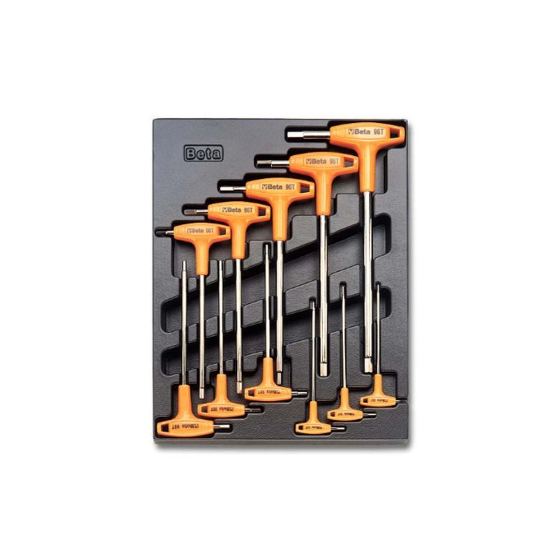 PLACA C/FERRAMENTA                    T050